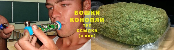 спиды Богданович