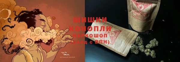 спиды Богданович