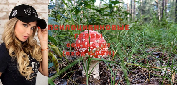 спиды Богданович