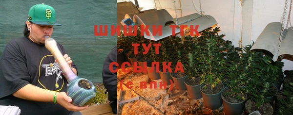 СК Богородицк