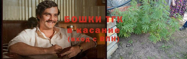 СК Богородицк