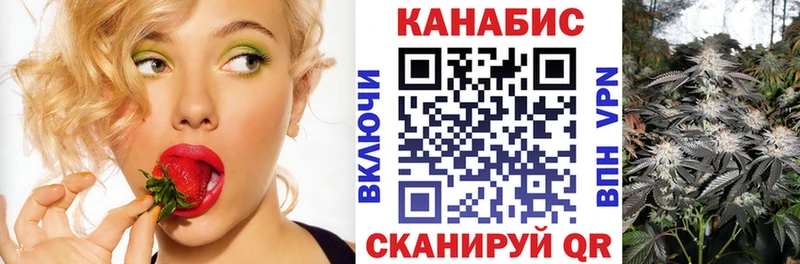 Шишки марихуана гибрид  Купить закладки  Новокубанск 